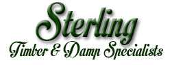 sterling timber and damp