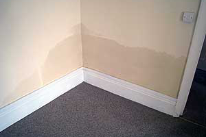 Rising Damp vs Condensation