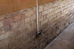 Rising Damp vs Condensation