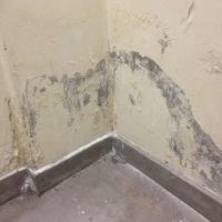 sterlingtimberanddamp.co.uk