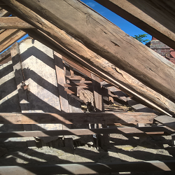sterlingtimberanddamp.co.uk