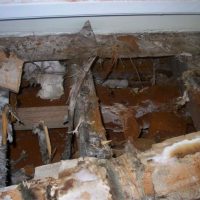 sterlingtimberanddamp.co.uk